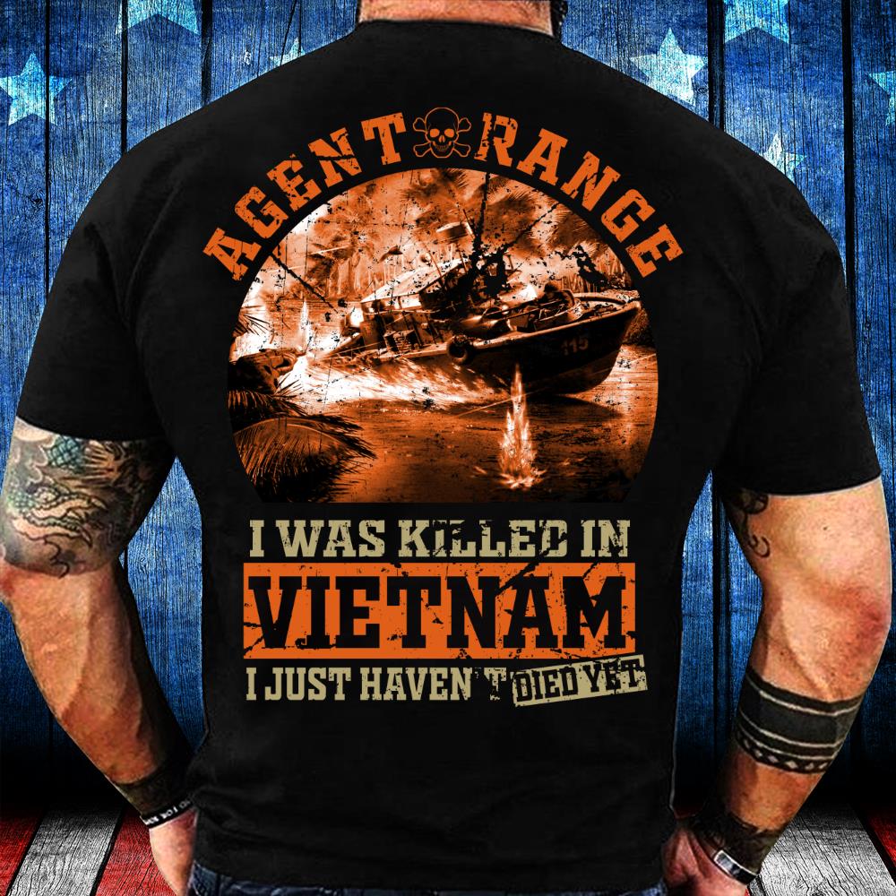 Vietnam Veteran - I Was Killed In Vietnam I Just Haven't Died Yet T-Shirt