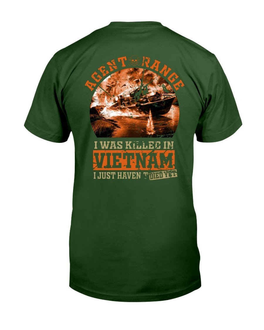 Vietnam Veteran - I Was Killed In Vietnam I Just Havent Died Yet T-Shirt 1 